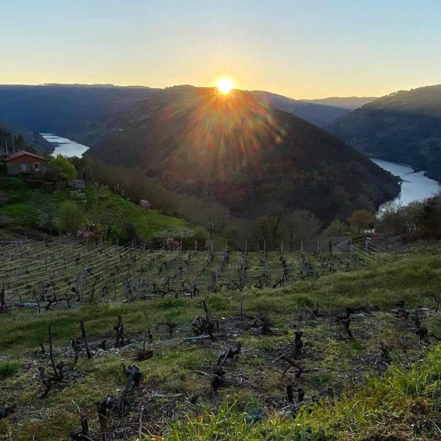 Casa Das Xacias Ribeira Sacra А-Айроа Экстерьер фото